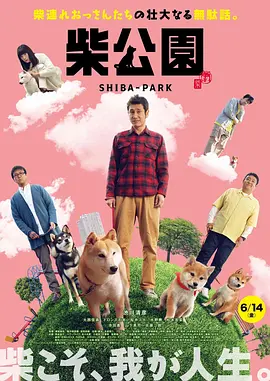 疯狂的代价