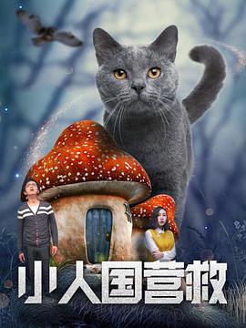 波多野结衣电影免费观看