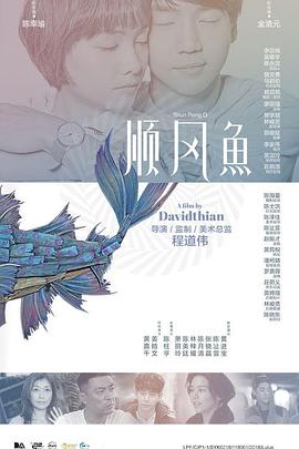 精品视频一区二区