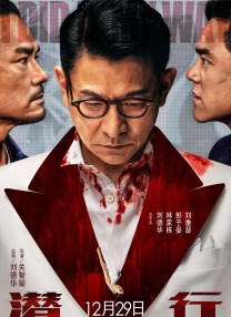 在哪看
