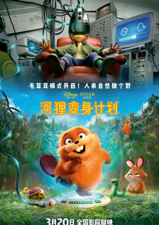 福利视频在线观看午夜