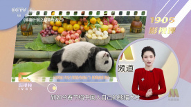 九一精品国产